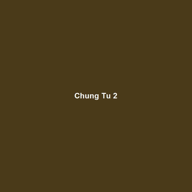 Chứng Từ Xuất Khẩu — 2