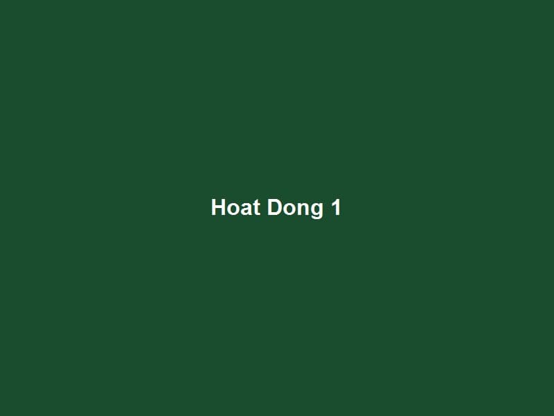 Hình Ảnh Hoạt Động — 1