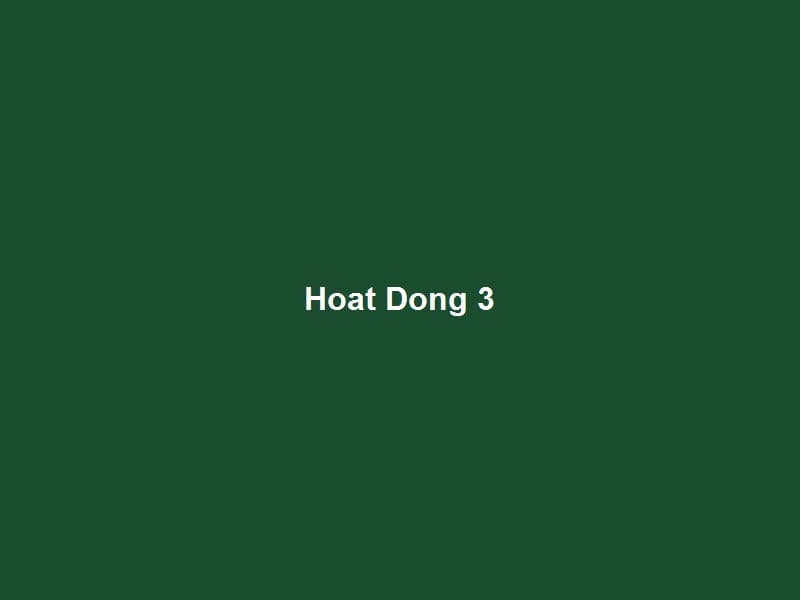 Hình Ảnh Hoạt Động — 3