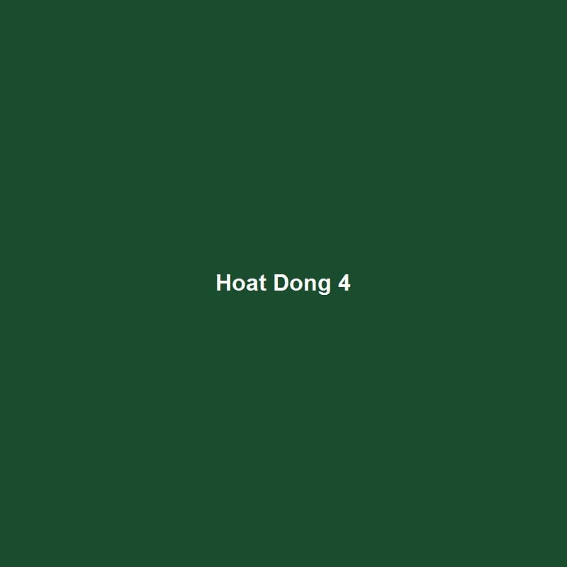 Hình Ảnh Hoạt Động — 4