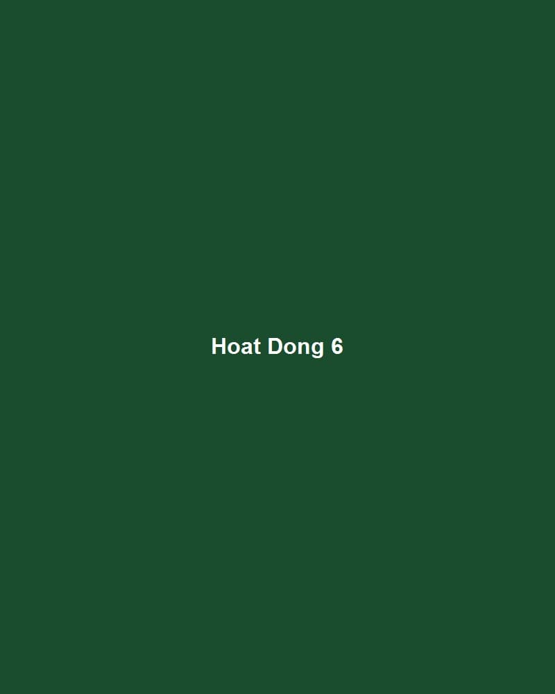 Hình Ảnh Hoạt Động — 6