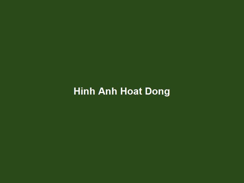 HÃ¬nh áº¢nh Hoáº¡t Äá»™ng