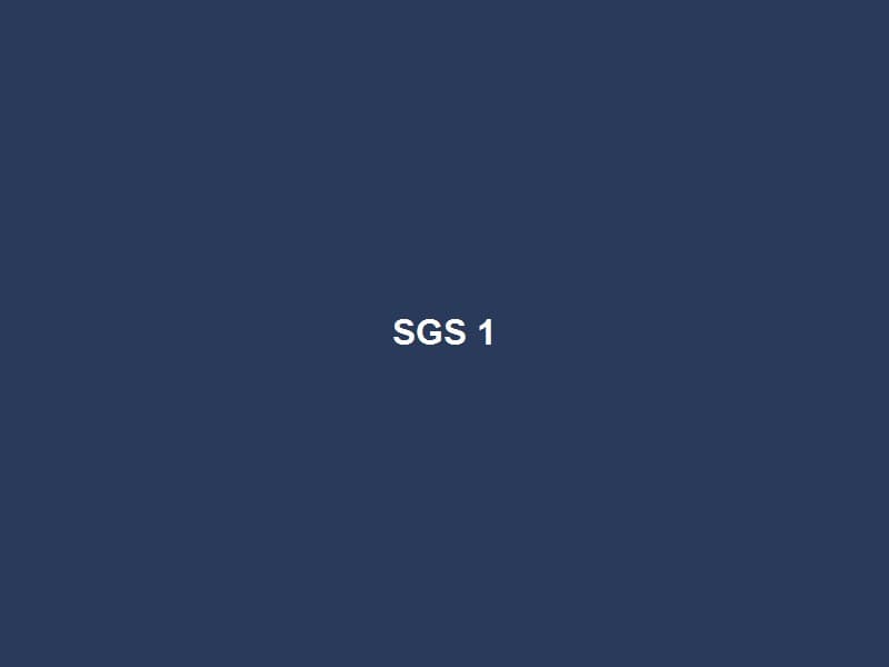 SGS Kiểm Định — 1