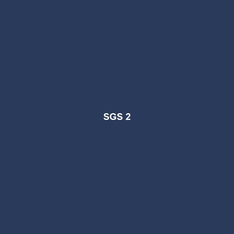SGS Kiểm Định — 2