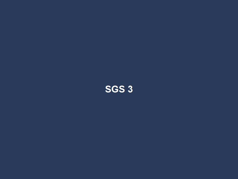 SGS Kiểm Định — 3