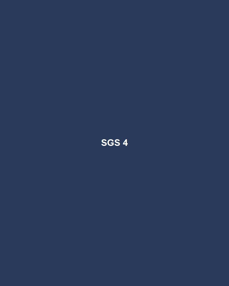 SGS Kiểm Định — 4