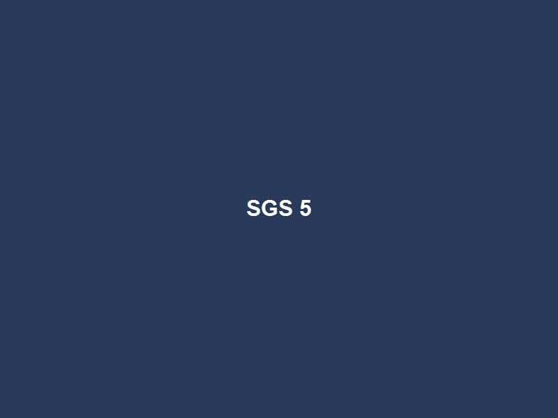 SGS Kiểm Định — 5