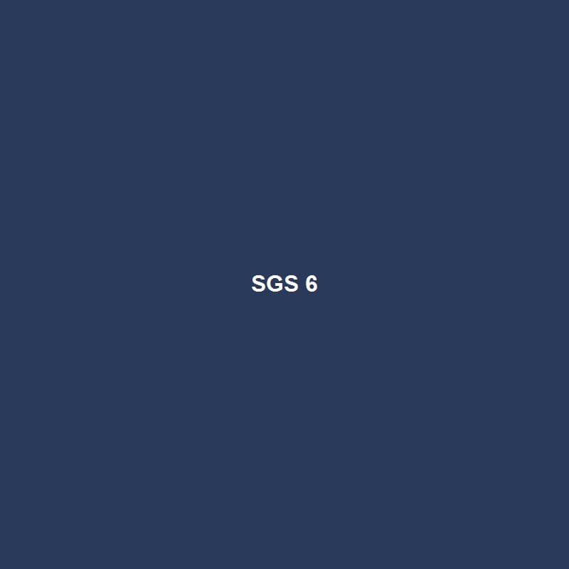 SGS Kiểm Định — 6