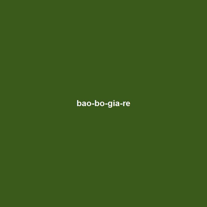 Bao bố giá rẻ